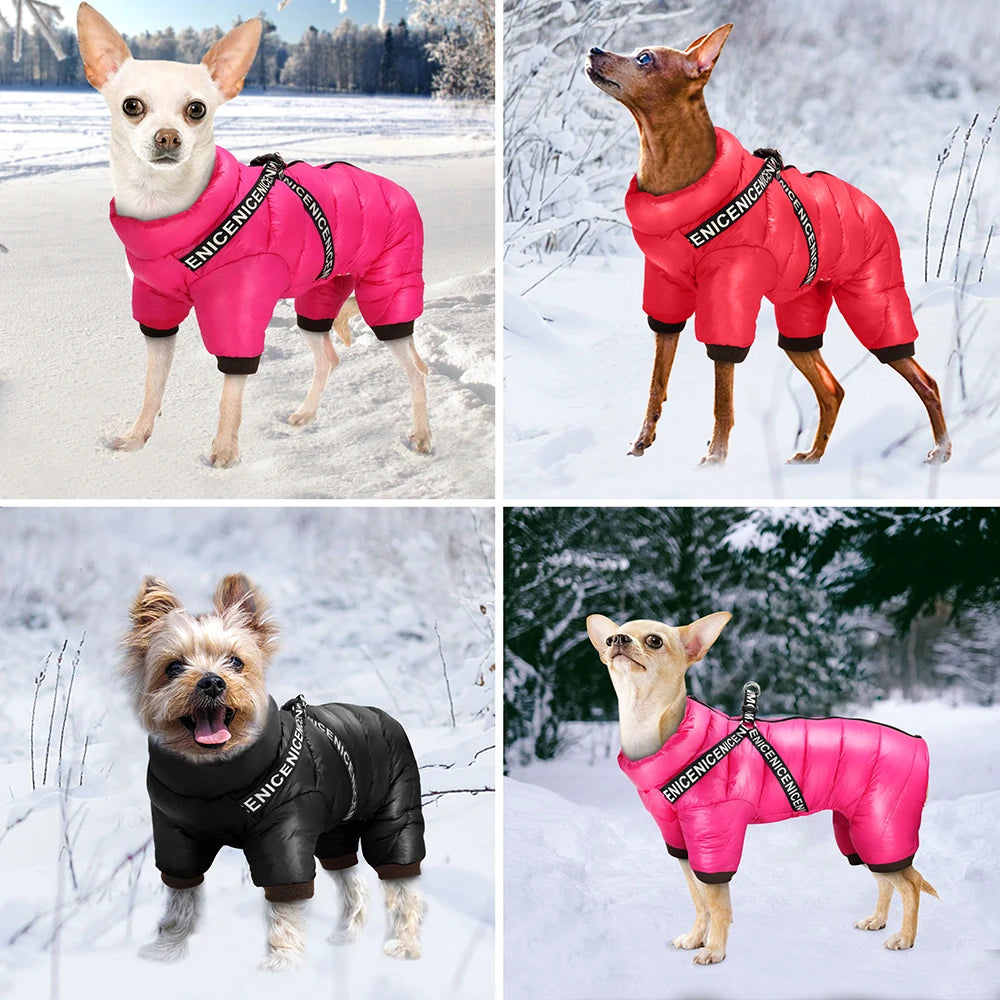 Vêtements d'hiver pour chiens, veste super chaude pour animaux de compagnie, manteau avec harnais.