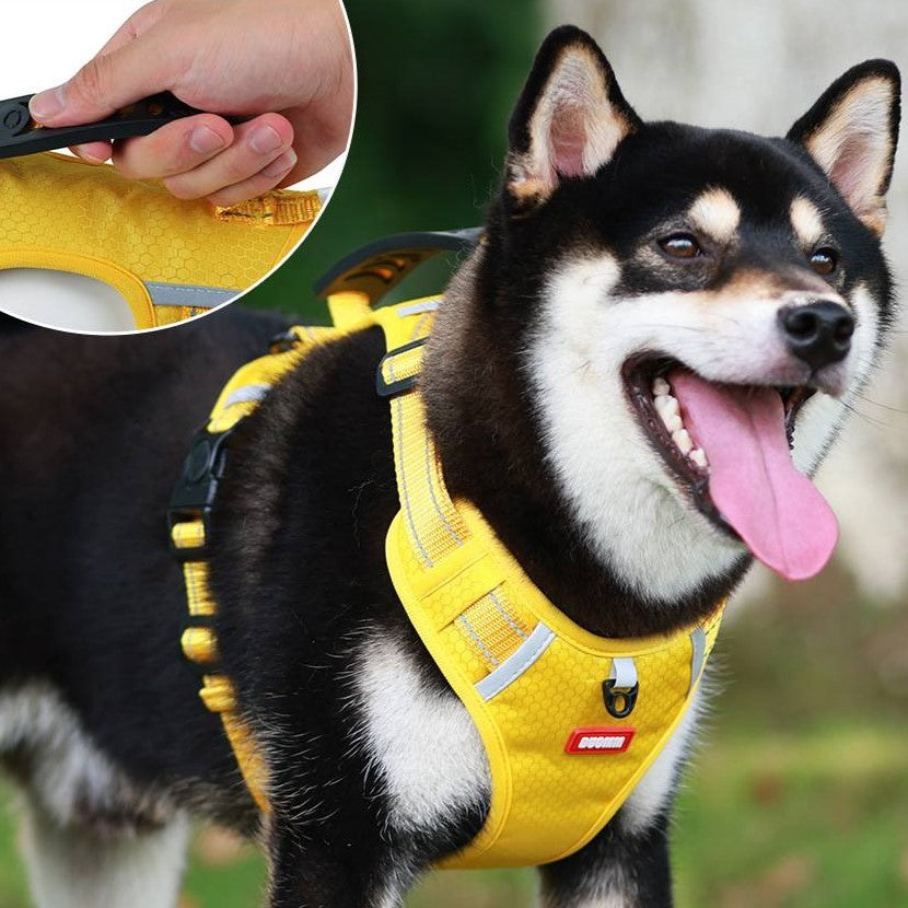 Harnais Réfléchissant Réglable pour Chien - Gilet en Nylon Durable avec Conception Anti-Traction