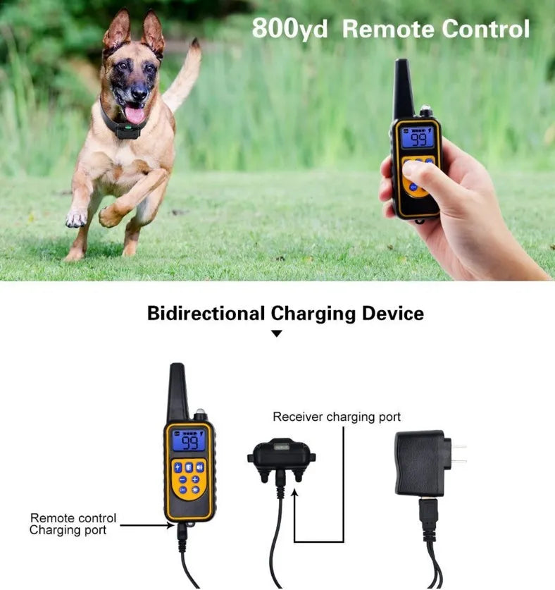 Collier de Dressage Électrique pour Chiens à 800m, Étanche, Télécommande Rechargeable