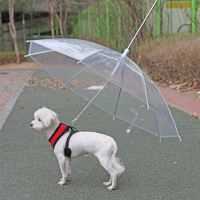 Laisse de Parapluie pour Petits Chiens