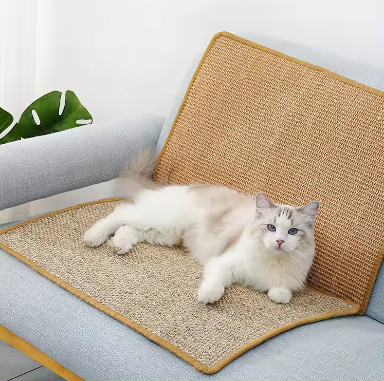 Tapis Griffoir en Sisal Naturel pour Chat - 60 x 40 cm, Protection des Meubles et Canapés