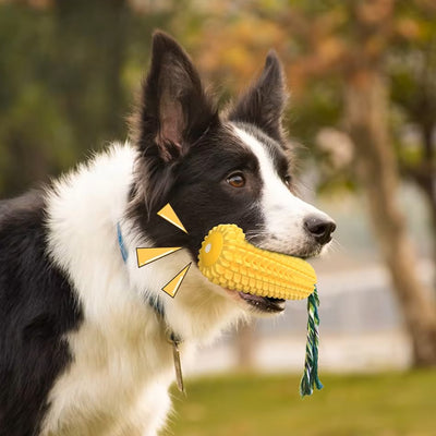 Jouet à Mâcher pour Chiens en Forme de Maïs - Jouet Interactif en Caoutchouc TPR Résistant aux Morsures