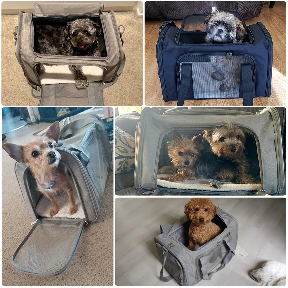 Sac de Transport pour Chiens, Sac à Dos à Parois Souples, Transporteurs pour Chats et Chiens