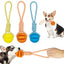 Jouets pour Chiens, Balles à Friandises Interactives, Corde en Chanvre, Balles en Caoutchouc pour Petits Chien