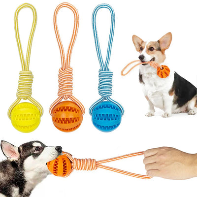 Jouets pour Chiens, Balles à Friandises Interactives, Corde en Chanvre, Balles en Caoutchouc pour Petits Chien