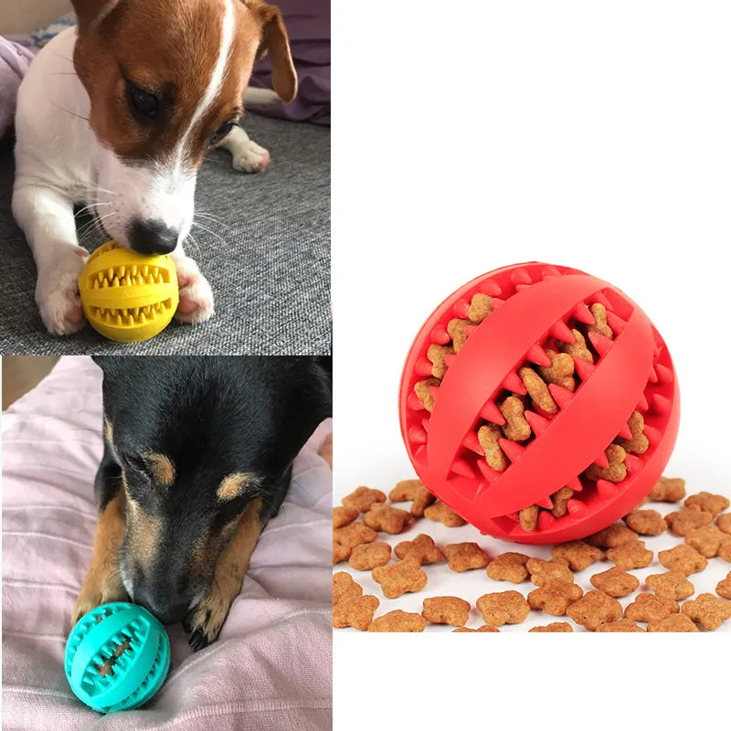 Jouet interactif pour chien, balles en caoutchouc, pour chien, chat, chiot, jouets à mâcher, boule de dents, jouets à mâcher, balles de nettoyage des dents, nourriture