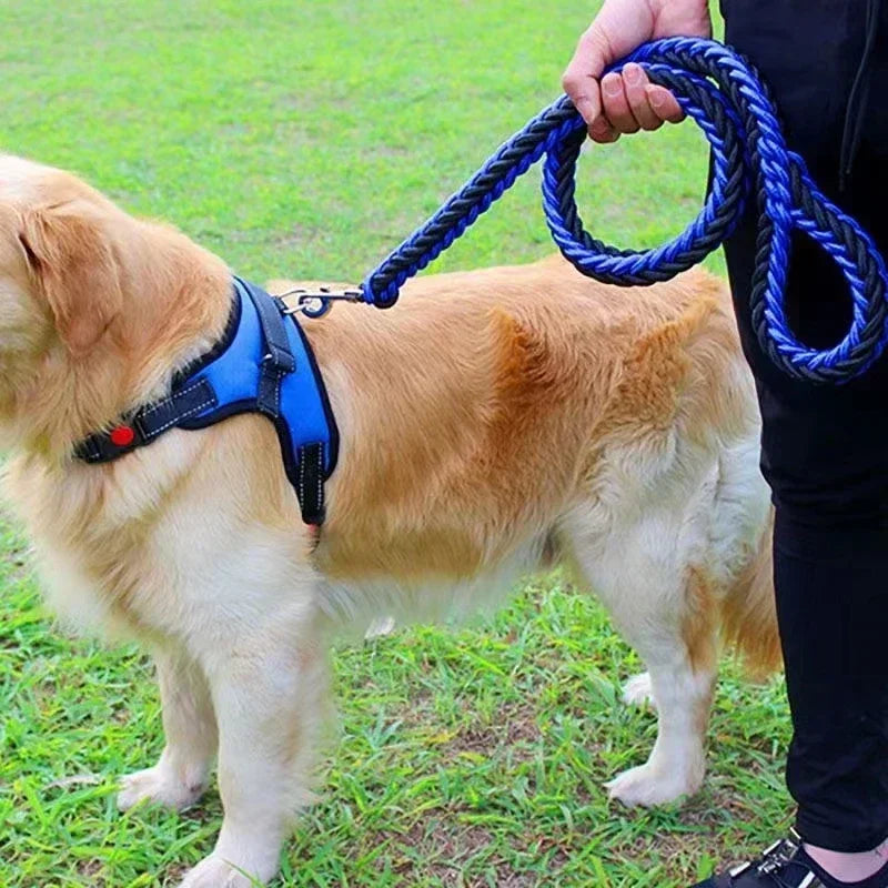 Laisse de harnais de chien en nylon pour chiens de taille moyenne conduit l'entraînement des animaux de compagnie