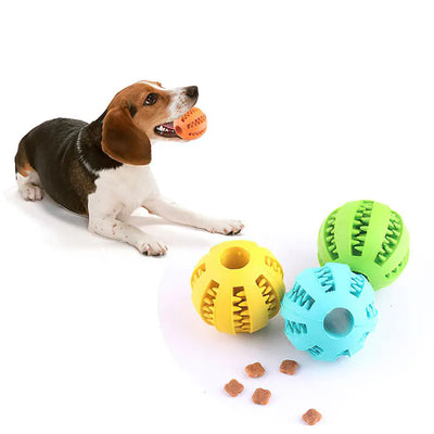 Jouets Balles pour Petits Chiens, Interactive, Élasticité, Jouet à Mâcher, Nettoyage des Dents, Balle Alimentaire en Caoutchouc