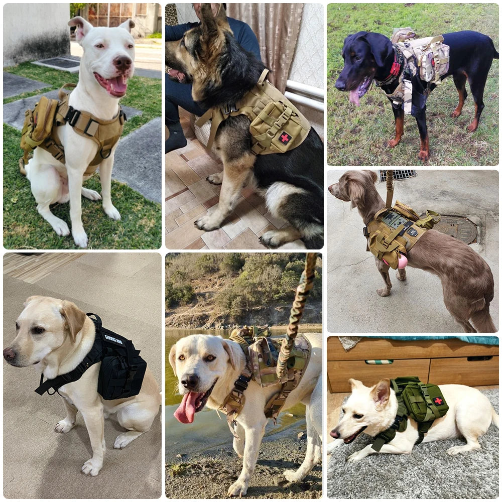 Ensemble harnais et laisse militaires pour grands chiens, gilet d'entraînement pour animaux de compagnie