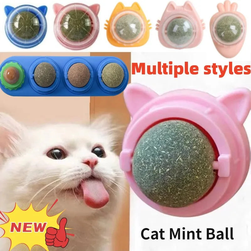 Boule murale d'herbe à chat, jouets pour animaux de compagnie, bouche propre, favorise la Digestion, chaton