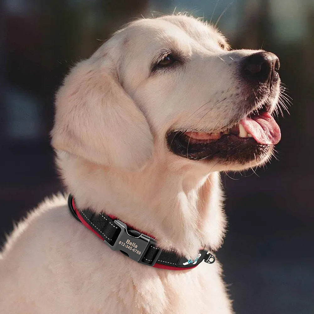 Collier réglable pour chien, personnalisé, rembourré, réfléchissant, avec étiquette d'identification gravée gratuite