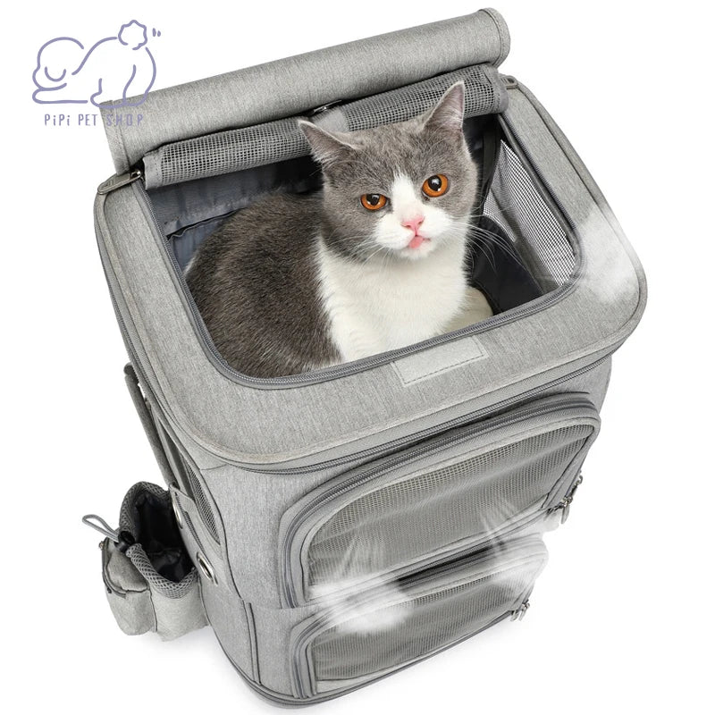 Sac à Roulettes Double Couche Amovible pour Petits Animaux, pour 2 Chats ou Chiens