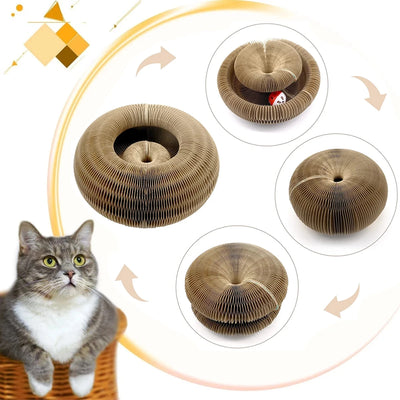 Jouet Magique pour Chats, Grattoir, Tableau Rond en Carton Ondulé, Poteau à Griffer