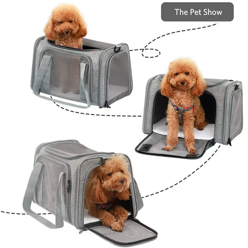 Sac de Transport Portable pour Chiens, Sac à Dos Pliable, Respirant, Agréé pour Voyage en Avion, Pour Petits Chiens et Chats