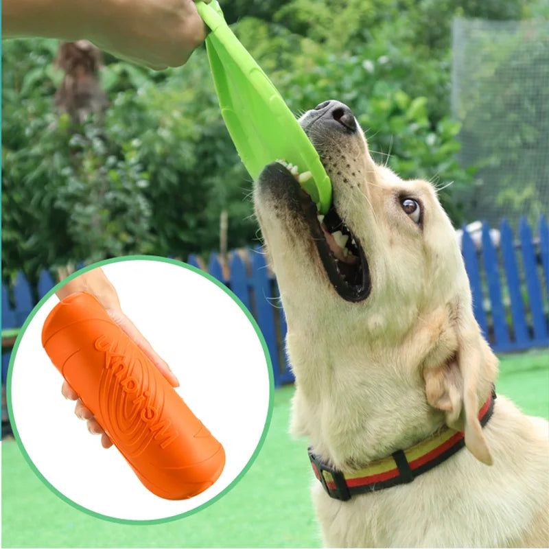 Jeu de Frisbee en Silicone pour Chiens, Disque Volant, Jouets d'Entraînement Interactifs, 15/18/22cm