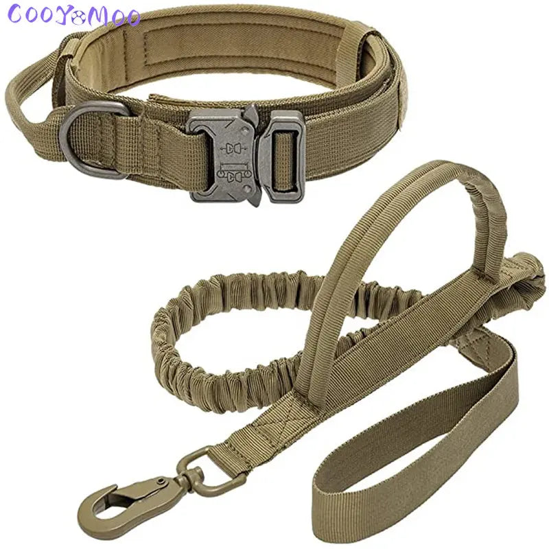 Collier pour chien, ensemble de laisse réglable, militaire, pour chiens moyen et grand, accessoires d'entraînement pour berger allemand