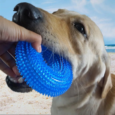 Jouets à Mâcher Durables pour Chiens, Jouet à Pouet pour Nettoyage des Dents, Balle à Mâcher en Caoutchouc