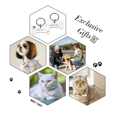 Étiquettes personnalisées pour chiens et chats, en acier brillant, gravure gratuite, chaton, chiot, colliers Anti-perte