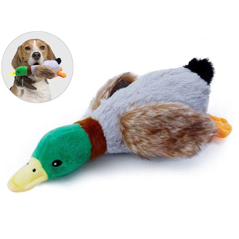 Jouet en Peluche Canard Squeaky, Jouet Animal Sonore, Jouet à Mâcher pour Chiens