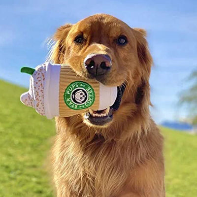 Jouet à Mâcher en Peluche pour Chiens et Chats, Design Tasse à Café, Fleece Durable