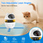 Jouets pour Chats 4-en-1, Jouets Interactifs Électriques d'Intérieur, avec Balle et Plume